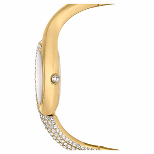 Laikrodžiai Swarovski Dextera Asymmetric 5708030